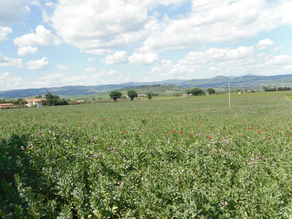 Agriturismo Il Giardino Saturnia Exterior photo