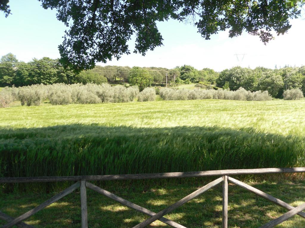 Agriturismo Il Giardino Saturnia Exterior photo