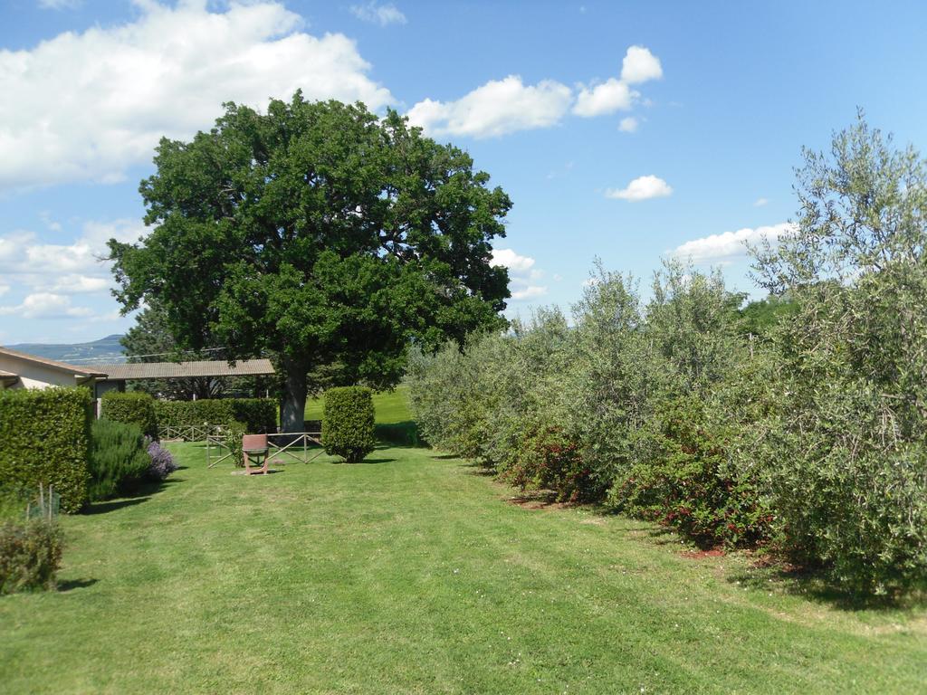 Agriturismo Il Giardino Saturnia Exterior photo
